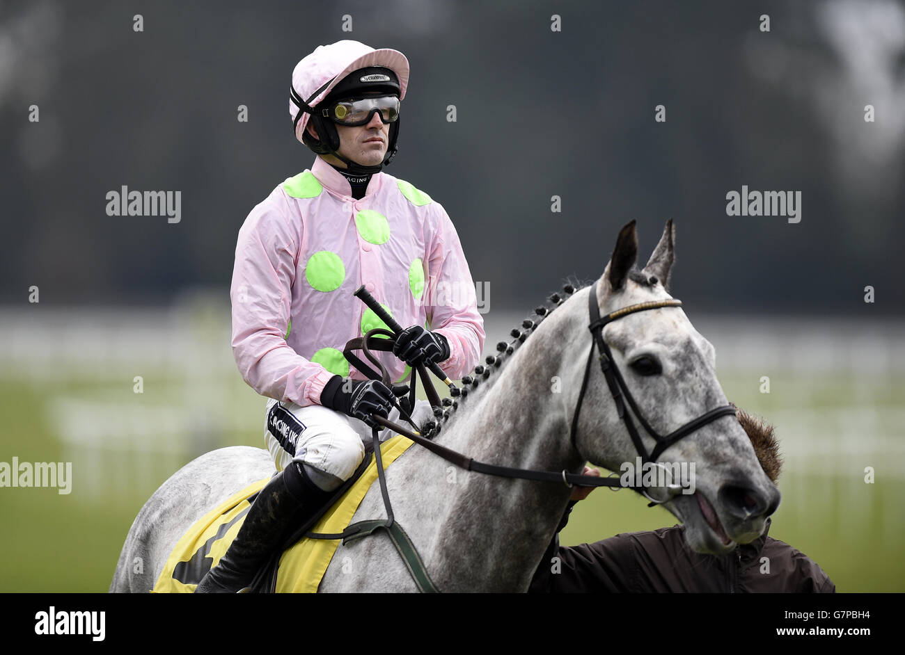 Horse Racing - Ascot Chase Raceday - Ascot Racecourse Foto Stock