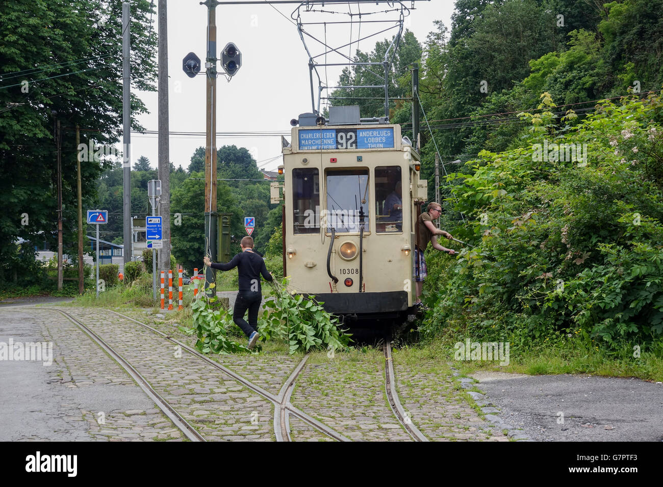 La cancellazione del sottobosco a ASVi Tramway Museum a Thuin -1 Foto Stock