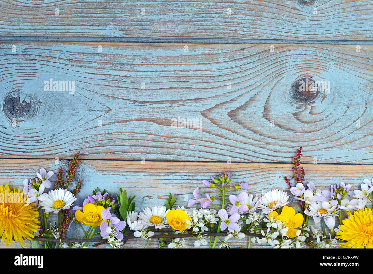 Copia vuota dello spazio sullo sfondo di legno con fiori di campo Foto Stock