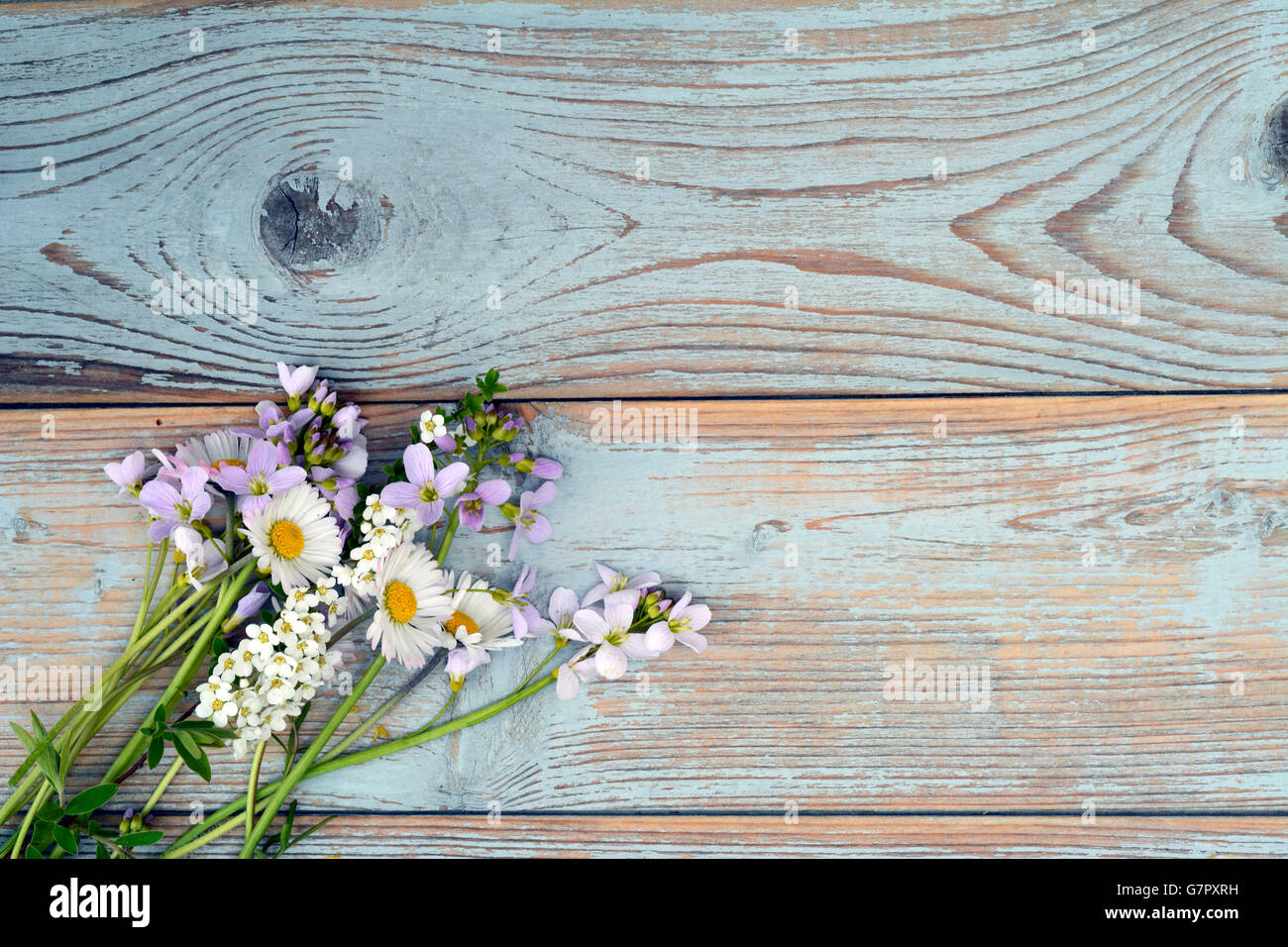 Copia vuota dello spazio sullo sfondo di legno con fiori di campo Foto Stock