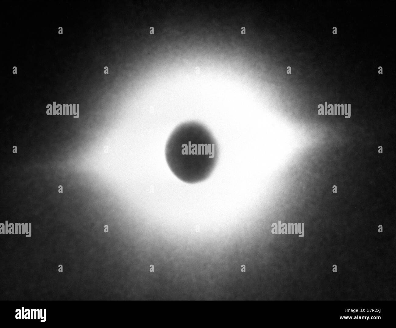 Scena che poche persone nelle isole britanniche hanno testimoniato, l'eclissi totale del sole, come la luna blotting fuori la palla e solo la brillantezza della corona è visto. Questa foto è stata fatta a 12,000 piedi da un aereo della BOAC (British Overseas Airways Corporation) Hermes che ha volato un viaggio di andata e ritorno di 1,200 miglia ad un punto a nord delle Isole Shetland. L'aereo portava un gruppo di noti astronomi. Foto Stock