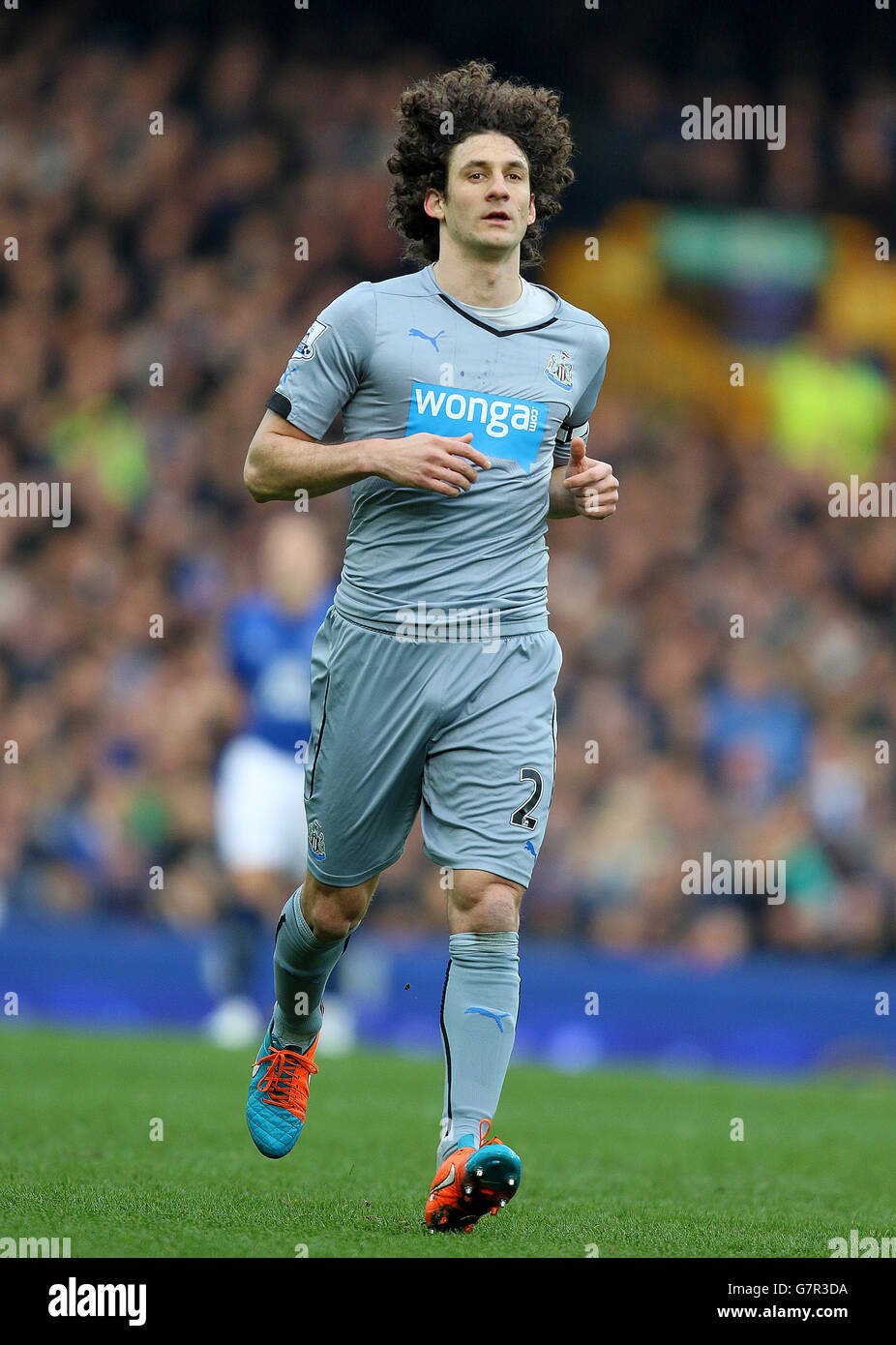 Calcio - Barclays Premier League - Everton / Newcastle United - Goodison Park. Fabricio Coloccini di Newcastle United Foto Stock
