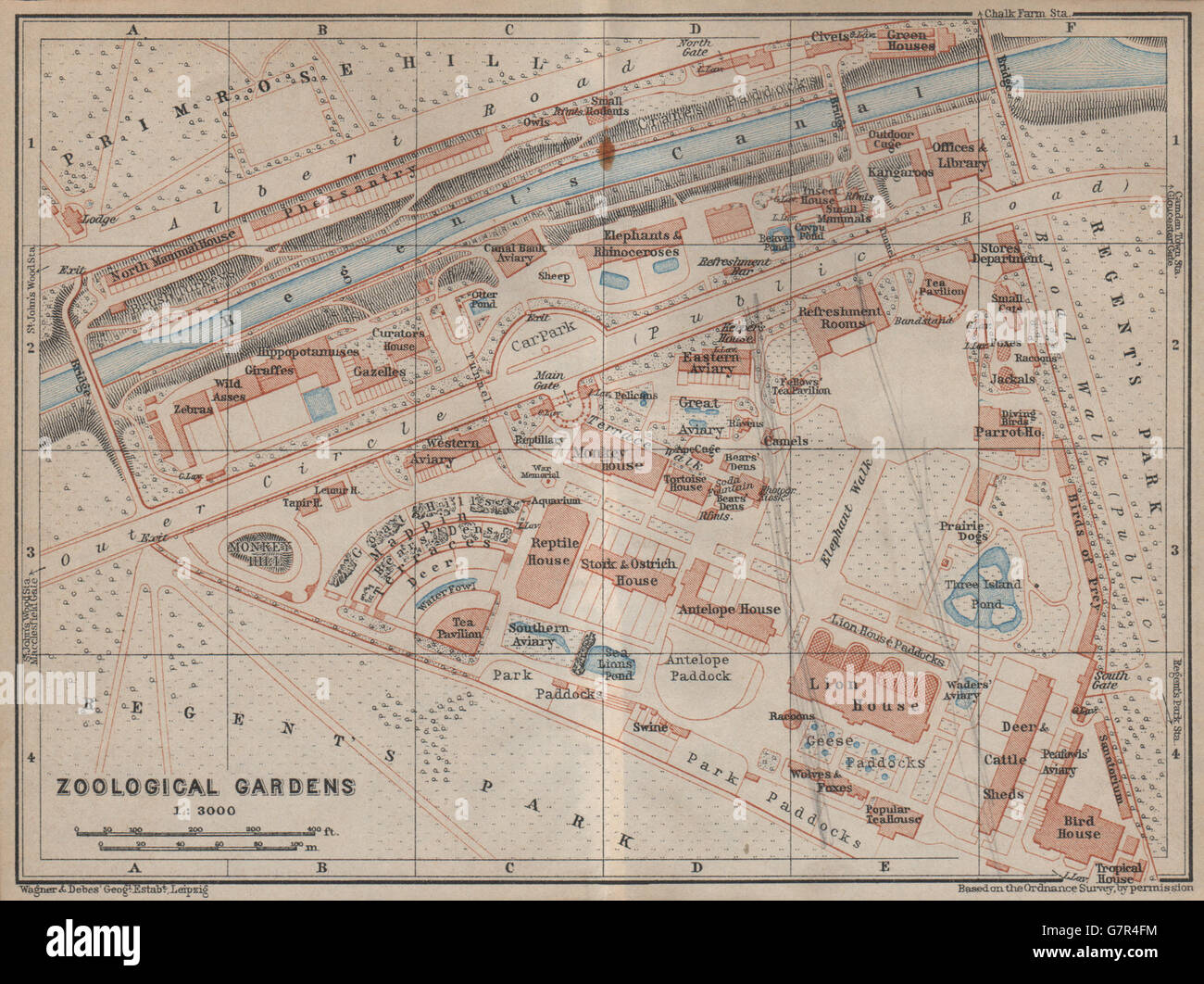 Londra giardini zoologici di piano di massa. Regent's Park. ZSL London Zoo, 1930 Mappa Foto Stock