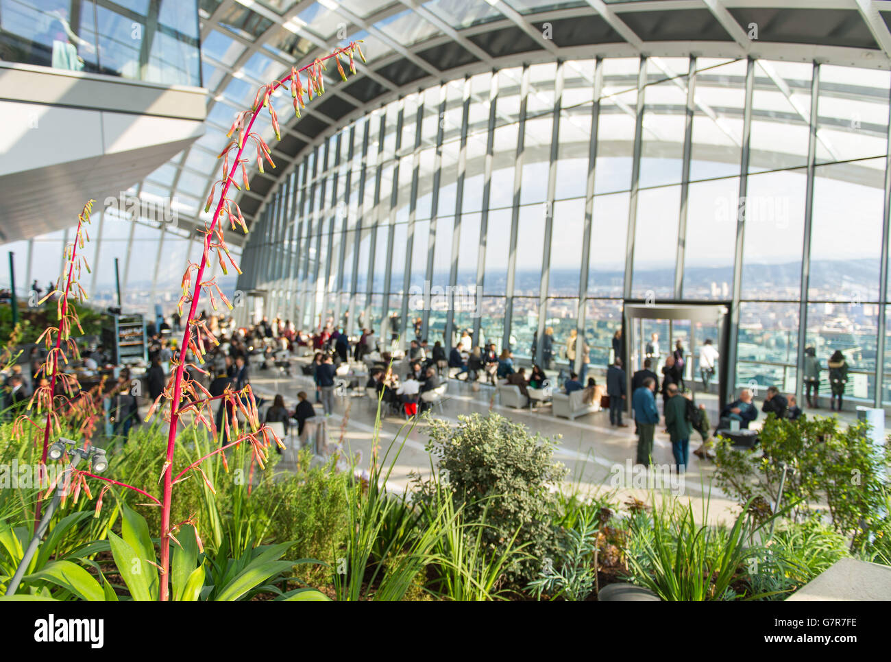 Sky Garden - Londra Foto Stock