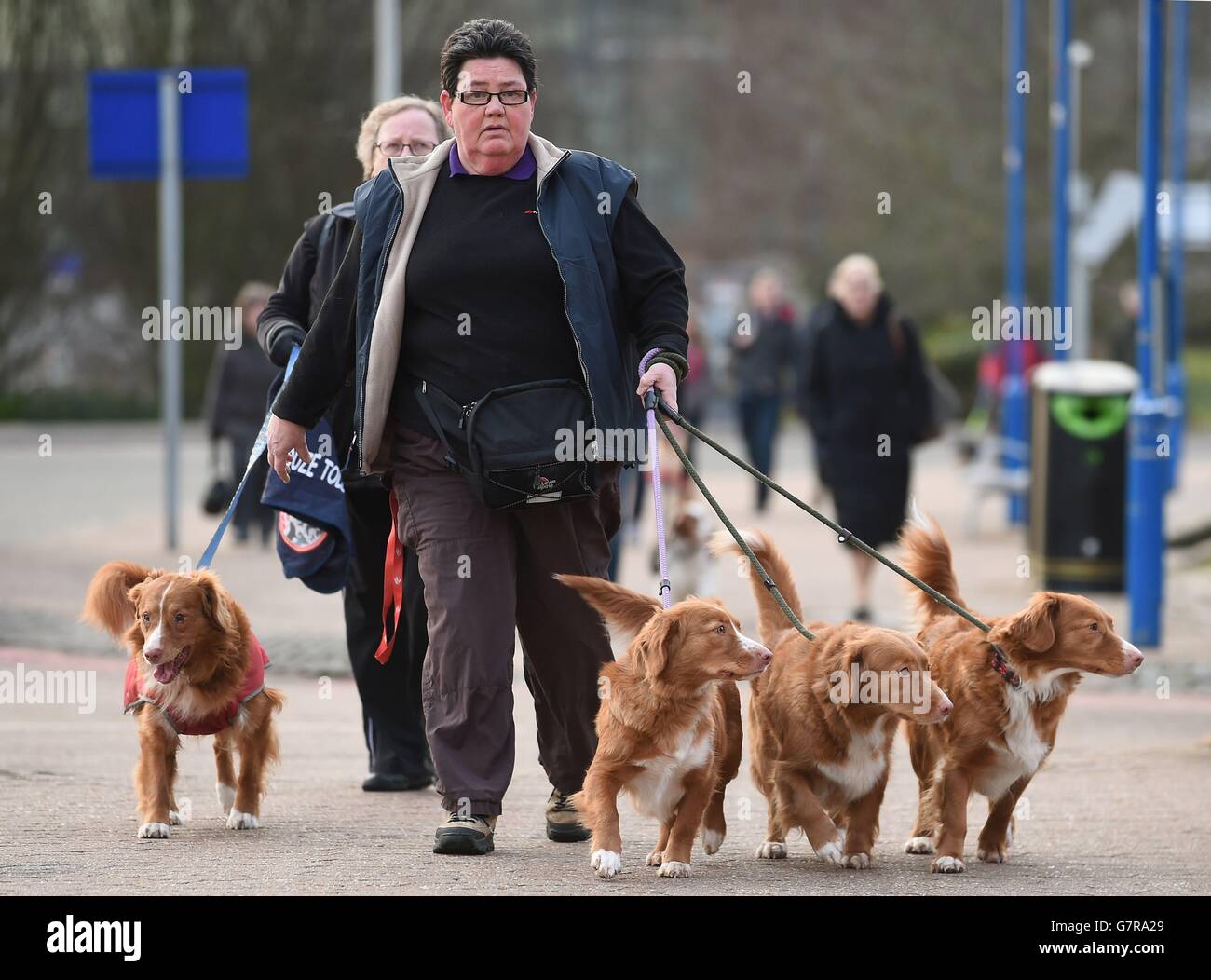 I cani e i loro proprietari arrivano per il primo giorno di Crufts 2015 al NEC, Birmingham. Data foto: Giovedì 5 marzo 2015. Il credito fotografico dovrebbe essere: Joe Giddens/filo PA Foto Stock