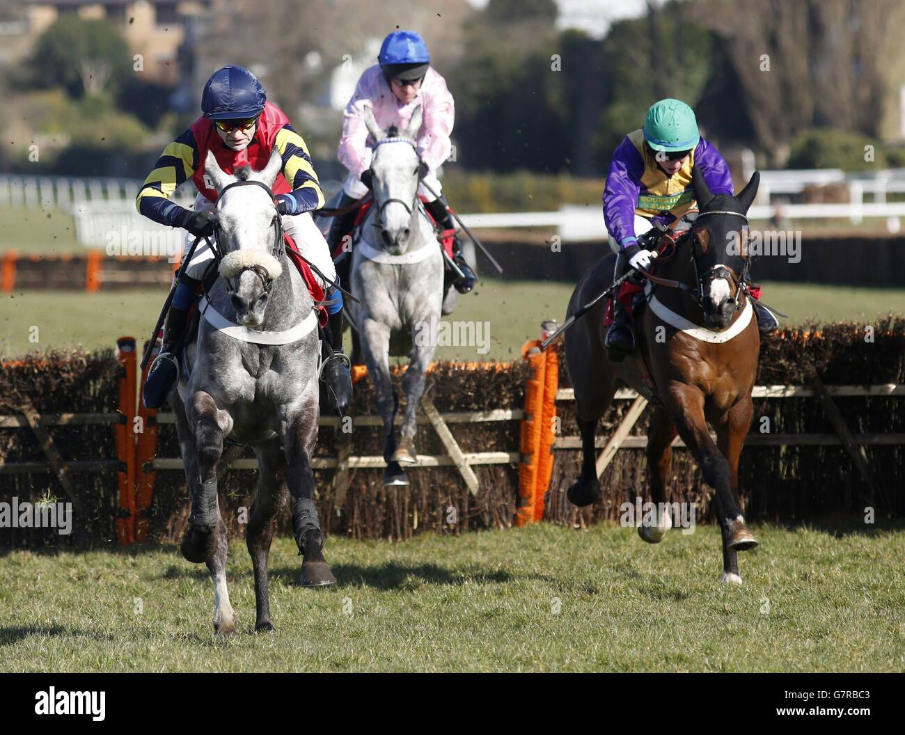 Horse Racing - William Hill Imperial Cup giorno - Sandown Racecourse Foto Stock