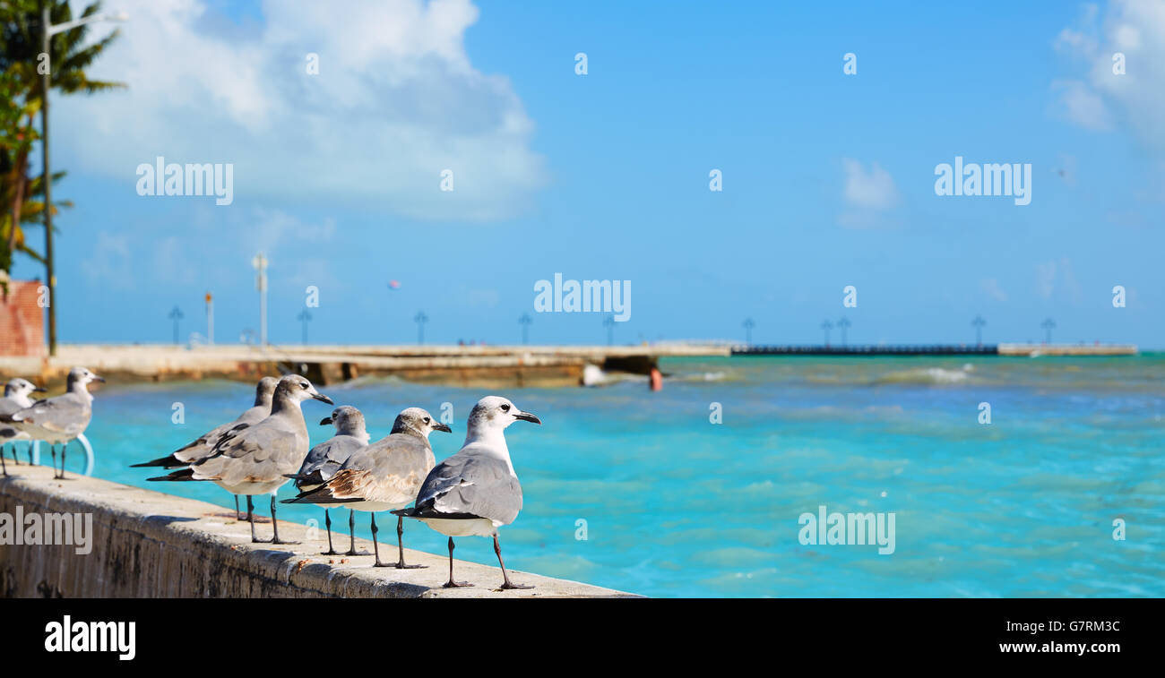 Key West Florida spiaggia Clearence S bosone di Higgs memorial NEGLI STATI UNITI Foto Stock