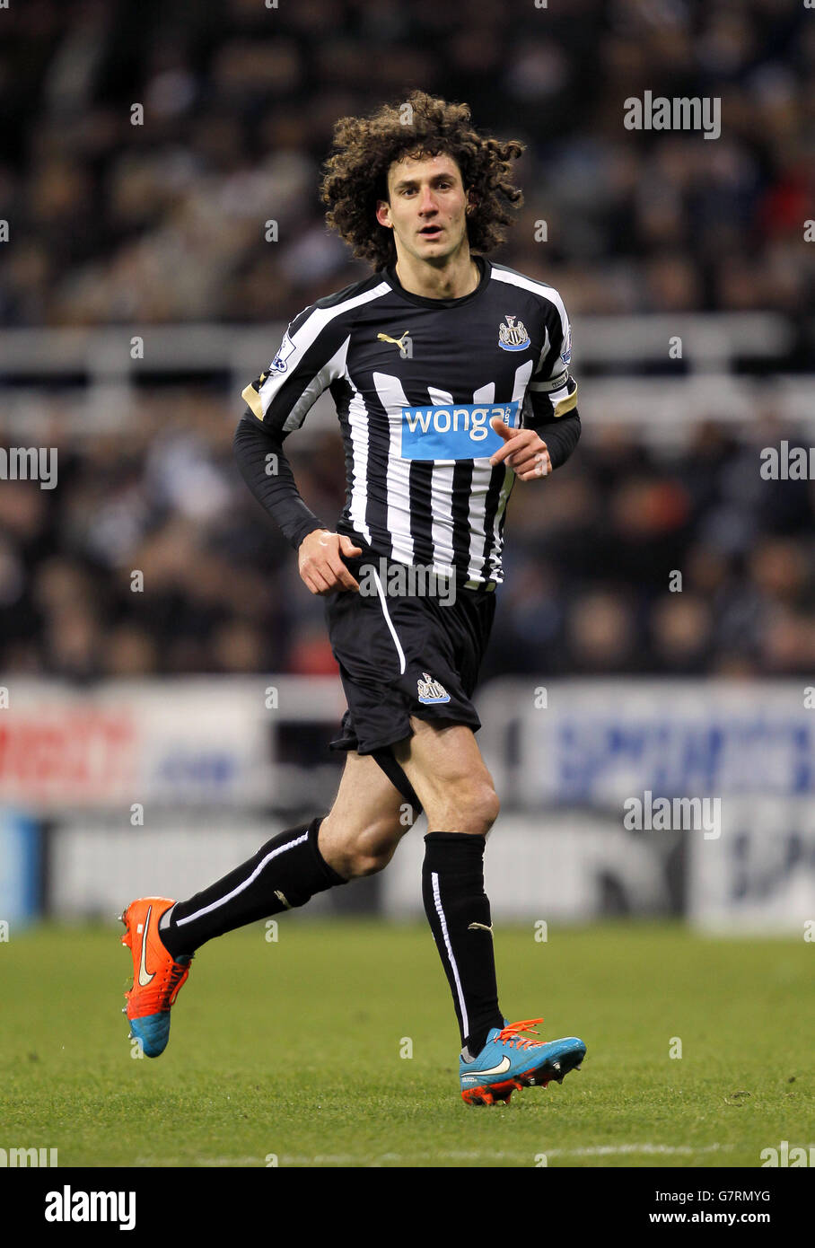 Calcio - Barclays Premier League - Newcastle United / Southampton - St James' Park. Fabricio Coloccini di Newcastle United Foto Stock