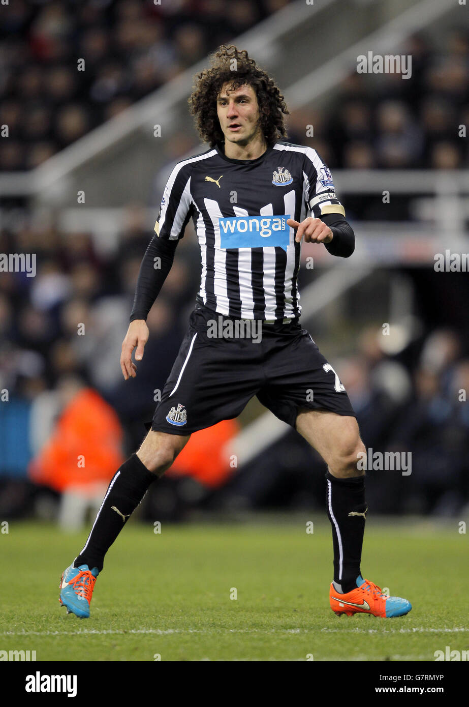 Calcio - Barclays Premier League - Newcastle United v Southampton - St James Park Foto Stock