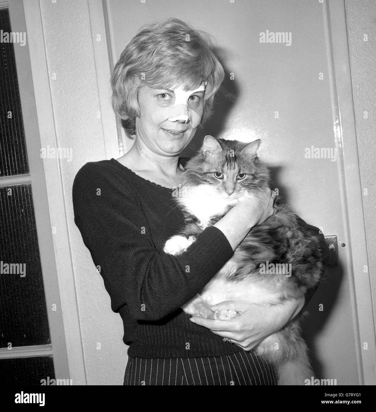 Edna Stokes, 36 anni, membro associato del Mitton Butler Priest, la società di stoccaggio che ha fallito oggi, ha ritratto con la sua bambola gatto al suo Clerkenwell Flat, Londra. Il naso è stato rotto quando una macchina in cui era un passeggero è stato coinvolto in un incidente due settimane fa. La signora Stokes è stata una delle prime donne della Borsa, che ha iniziato ad ammettere le donne lo scorso anno. Foto Stock