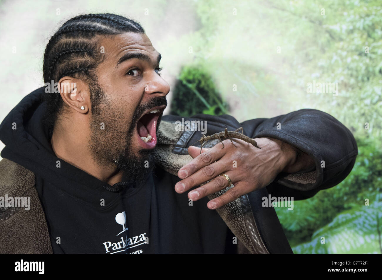 Io sono un Celebrity Get Me fuori di qui! Maze lancio - Chertsey Foto Stock