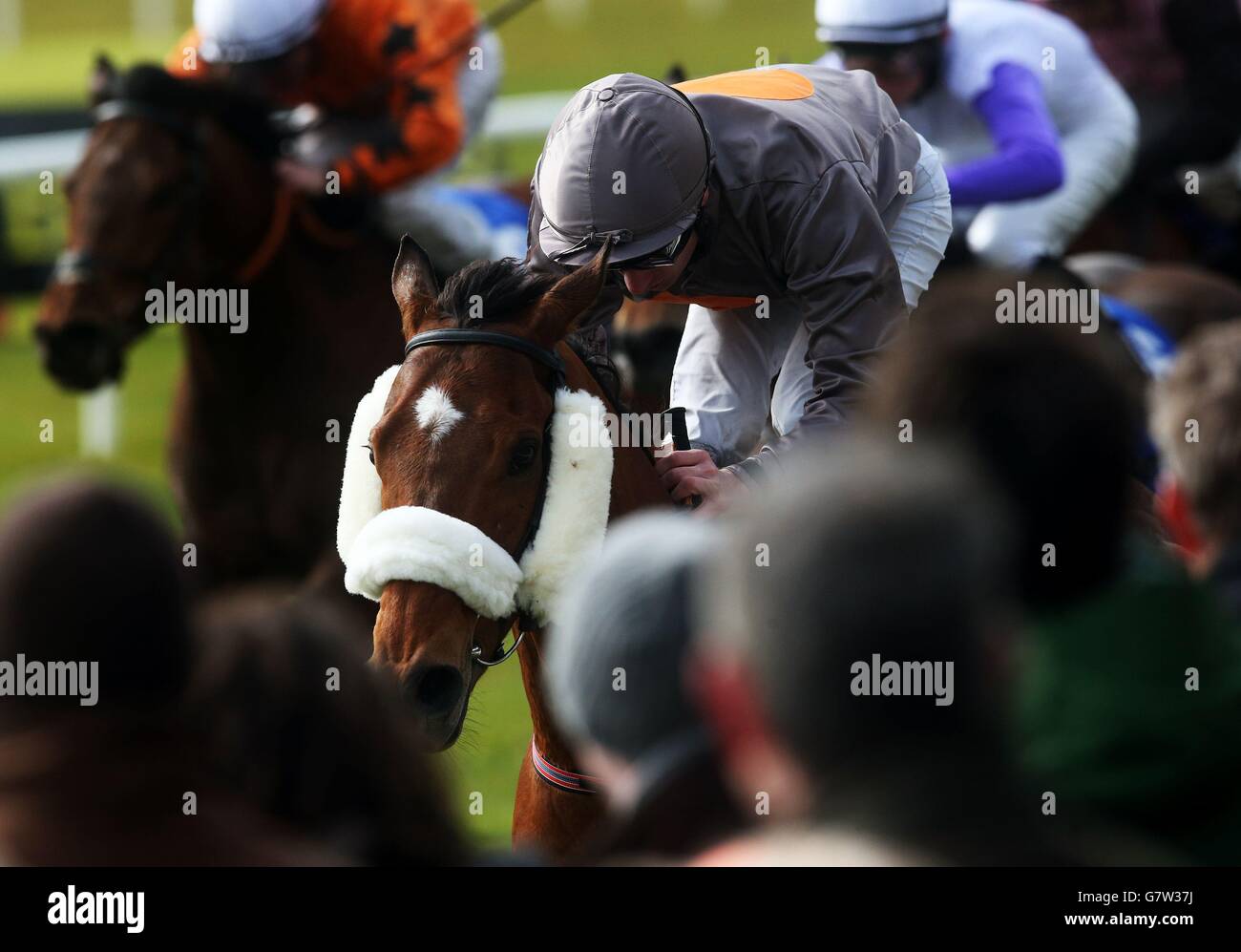 Lo spumante Bellini guidato da Declan McDonagh vince la Joanna Morgan Lifetime Achievement handicap all'ippodromo di Curragh, Kildare, Irlanda. Foto Stock