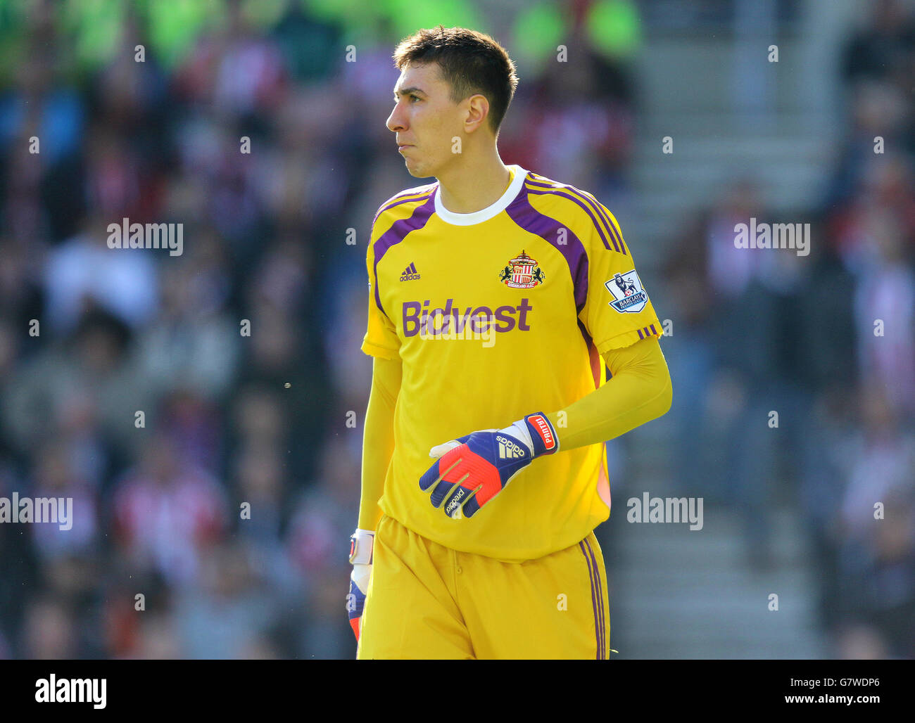 Calcio - Barclays Premier League - Sunderland v Newcastle United - stadio della Luce Foto Stock