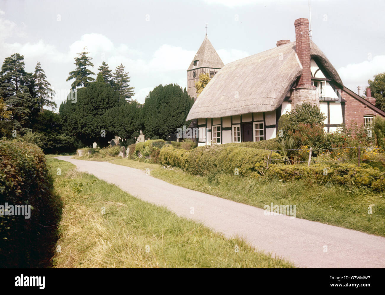 Punti di riferimento ed edifici - Cottage di paglia - Hampton Bishop. Un cottage con tetto in paglia a Hampton Bishop, Herefordshire, Inghilterra. Foto Stock