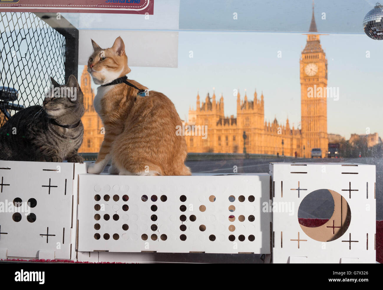 Lancio del giocattolo Cat. S ultimo prodotto nel Regno Unito. Foto Stock