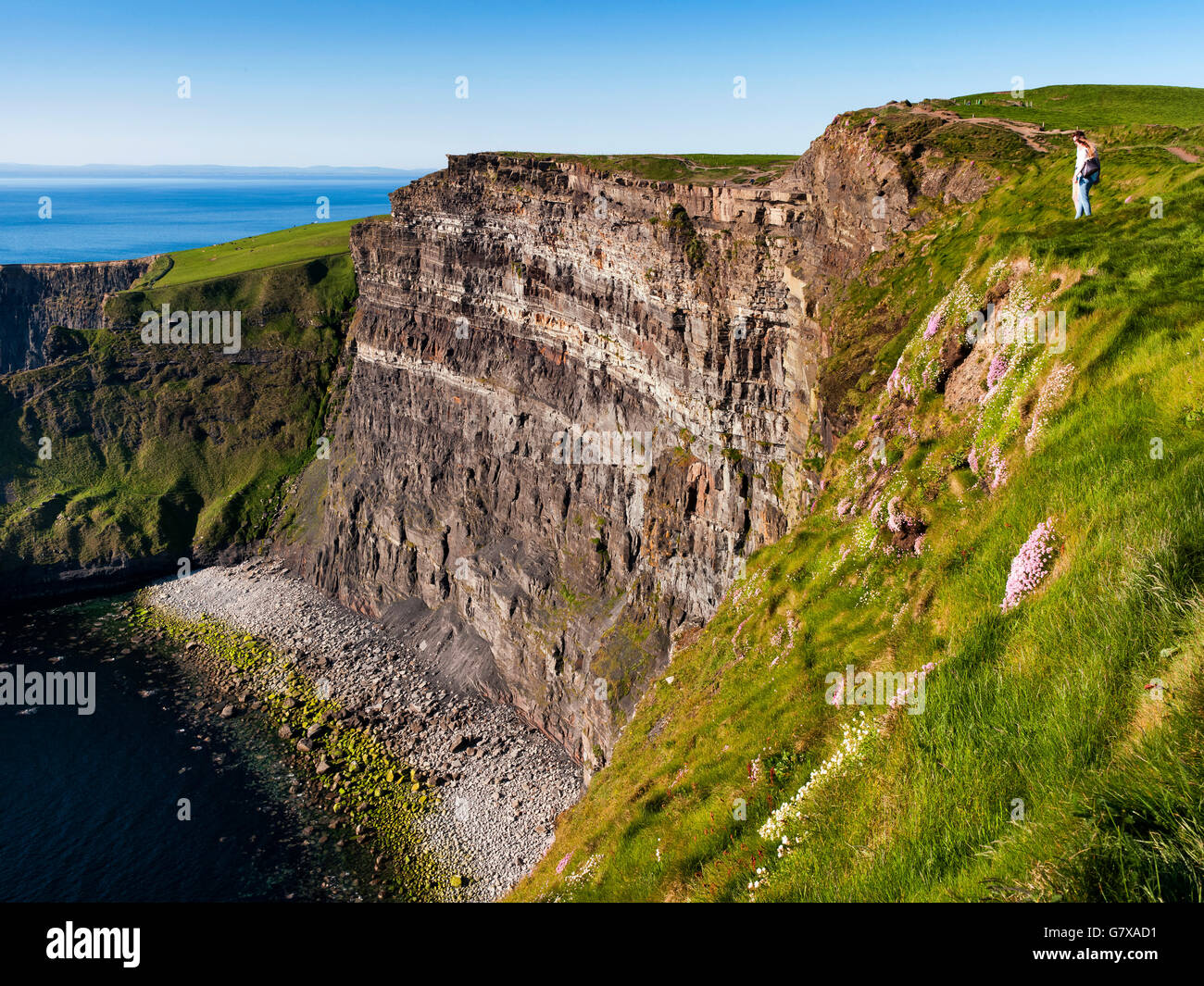 Scogliere di Moher, Co. Clare, Irlanda Foto Stock
