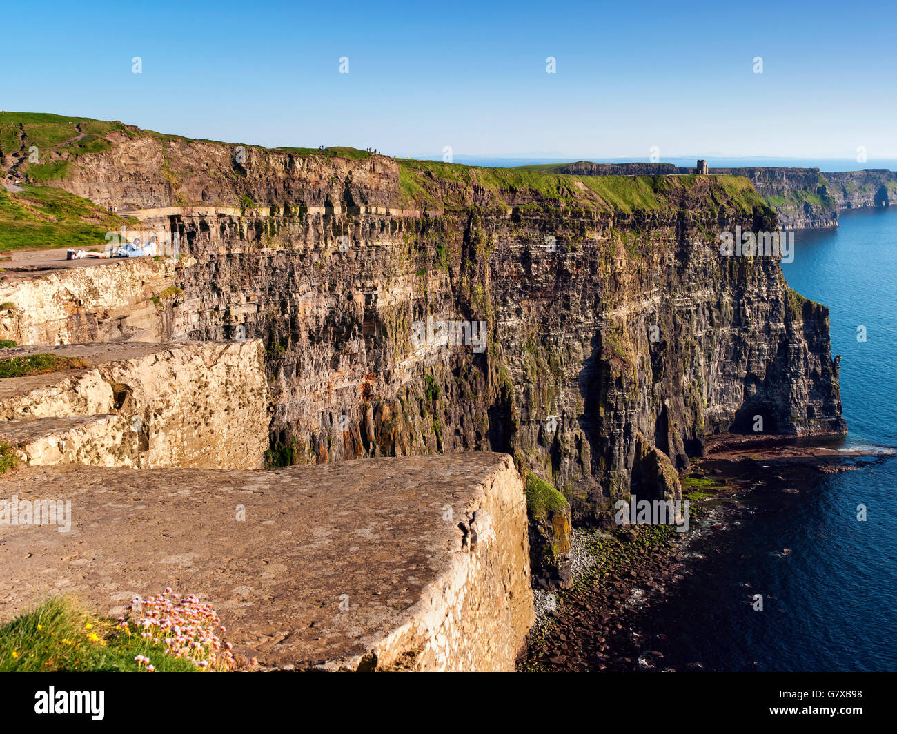Scogliere di Moher, Co. Clare, Irlanda Foto Stock