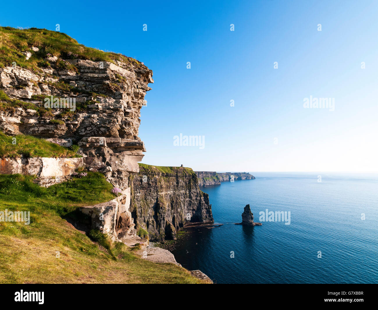Scogliere di Moher, Co. Clare, Irlanda Foto Stock
