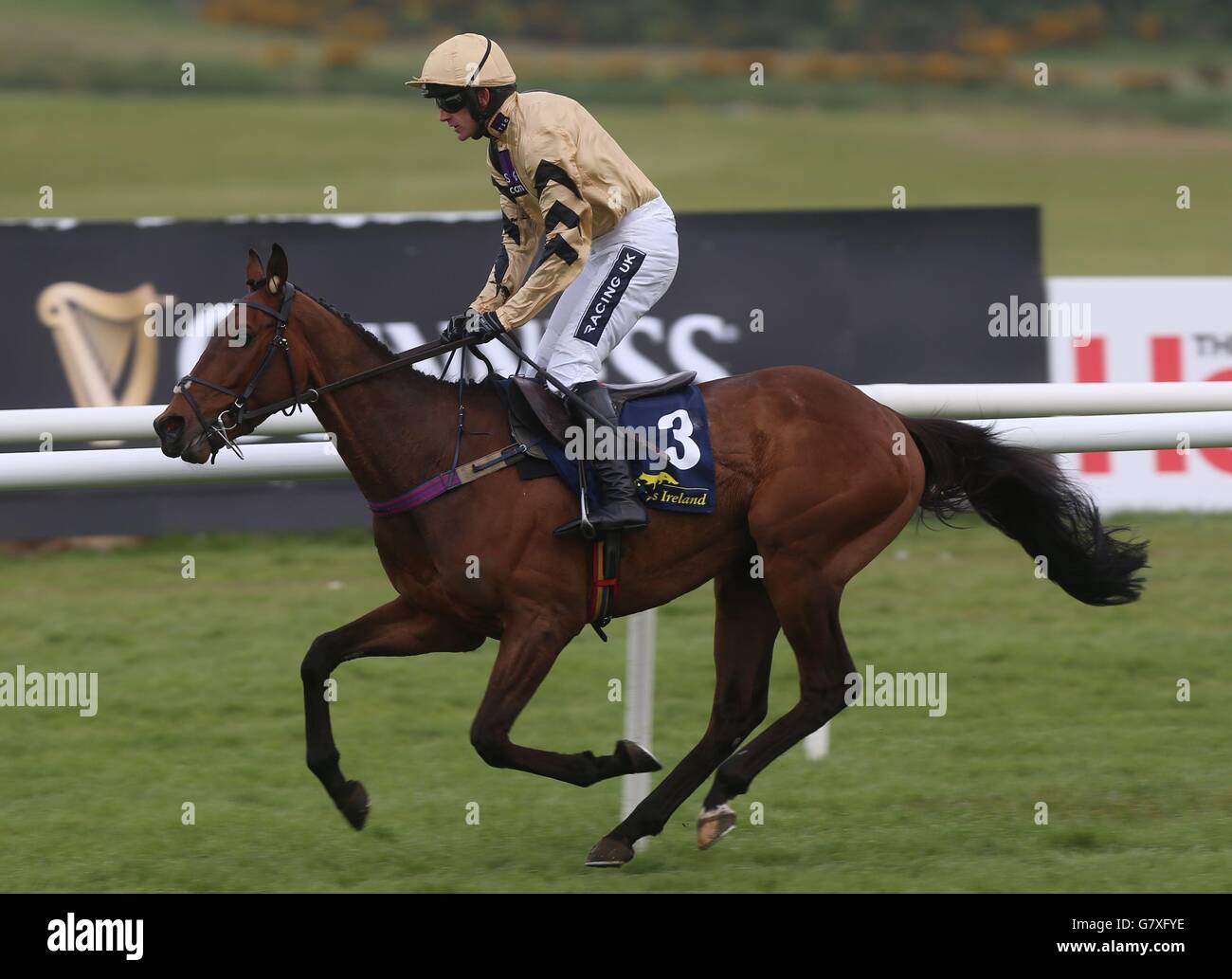 Nichols Canyon guidato da Ruby Walsh vince il Tattersalls Ireland Champion Novice Hurdle durante il Queally Group festeggiando 35 anni a Naas Punchestown Champion Hurdle Day presso il Punchestown Racecourse, Co. Kilare, Irlanda. Foto Stock