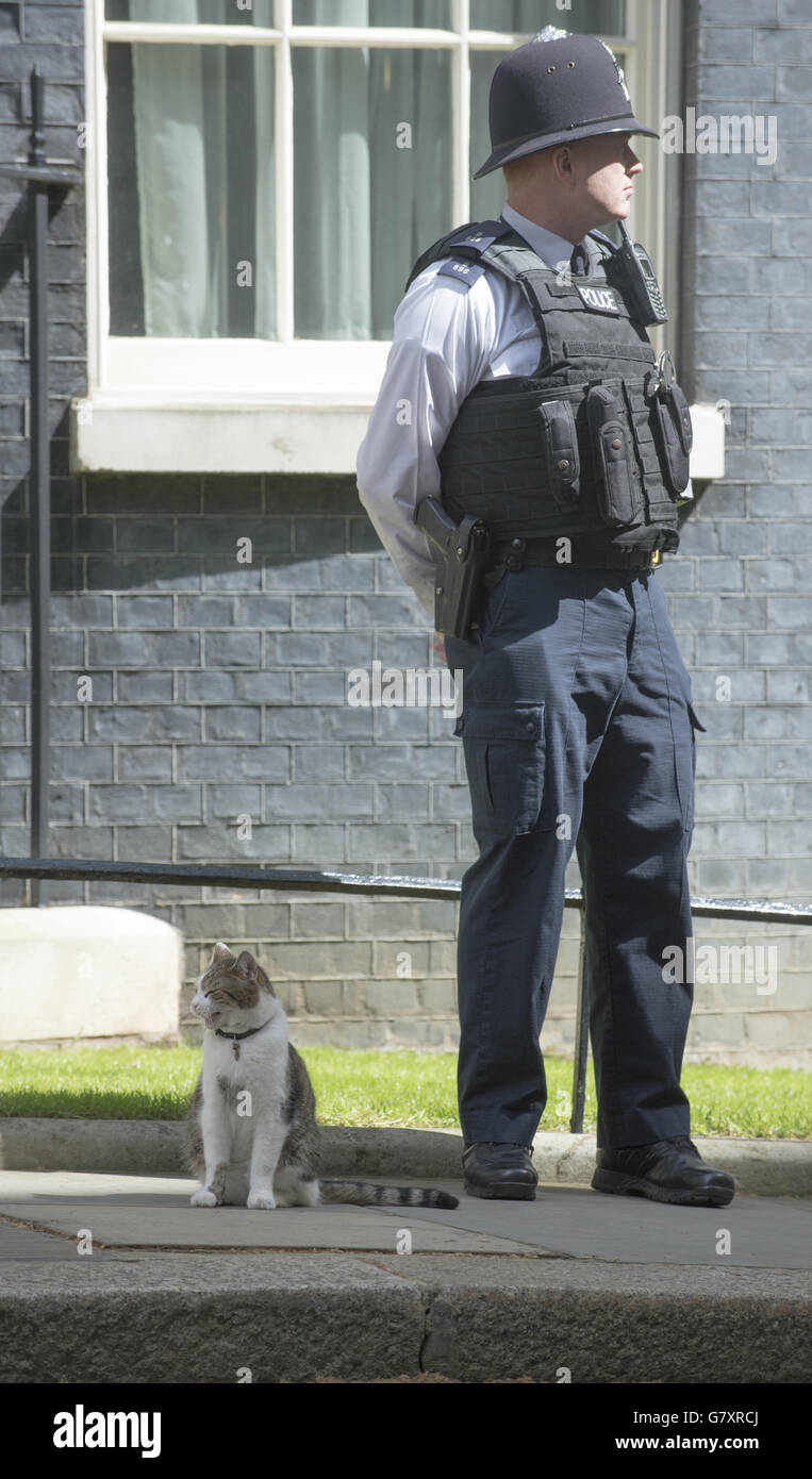 Larry il gatto siede accanto ad un ufficiale di polizia fuori 10 Downing Street come sondaggi aperti in tutto il paese per le elezioni generali del 2015, Londra. Foto Stock