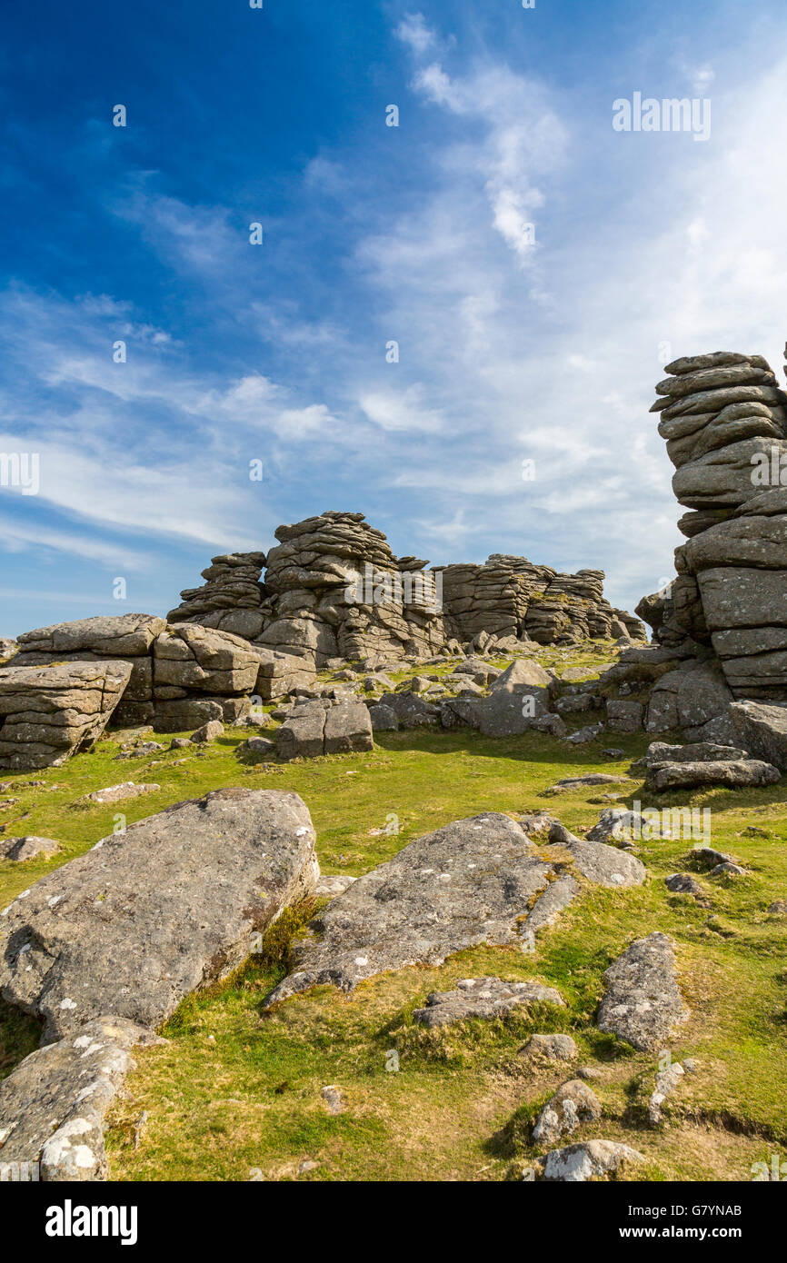 Il granito di Hound Tor è stato alterato da milioni di anni di vento, pioggia e gelo su Dartmoor Devon, Inghilterra, Regno Unito Foto Stock