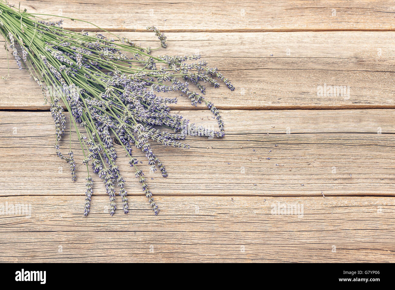 Mazzo di fiori di lavanda su vecchie tavole di legno Foto Stock