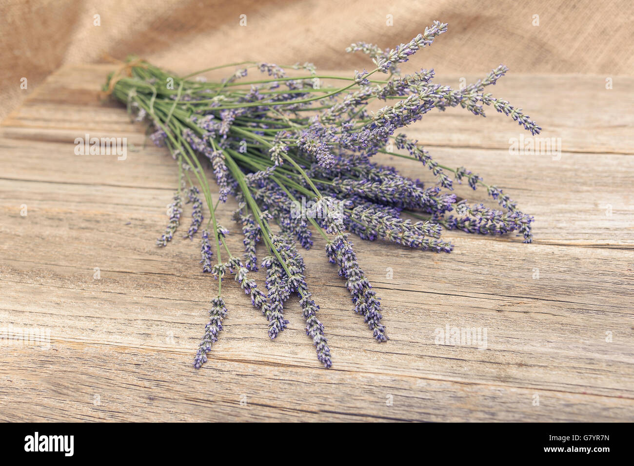 Mazzo di fiori di lavanda su vecchie tavole di legno Foto Stock