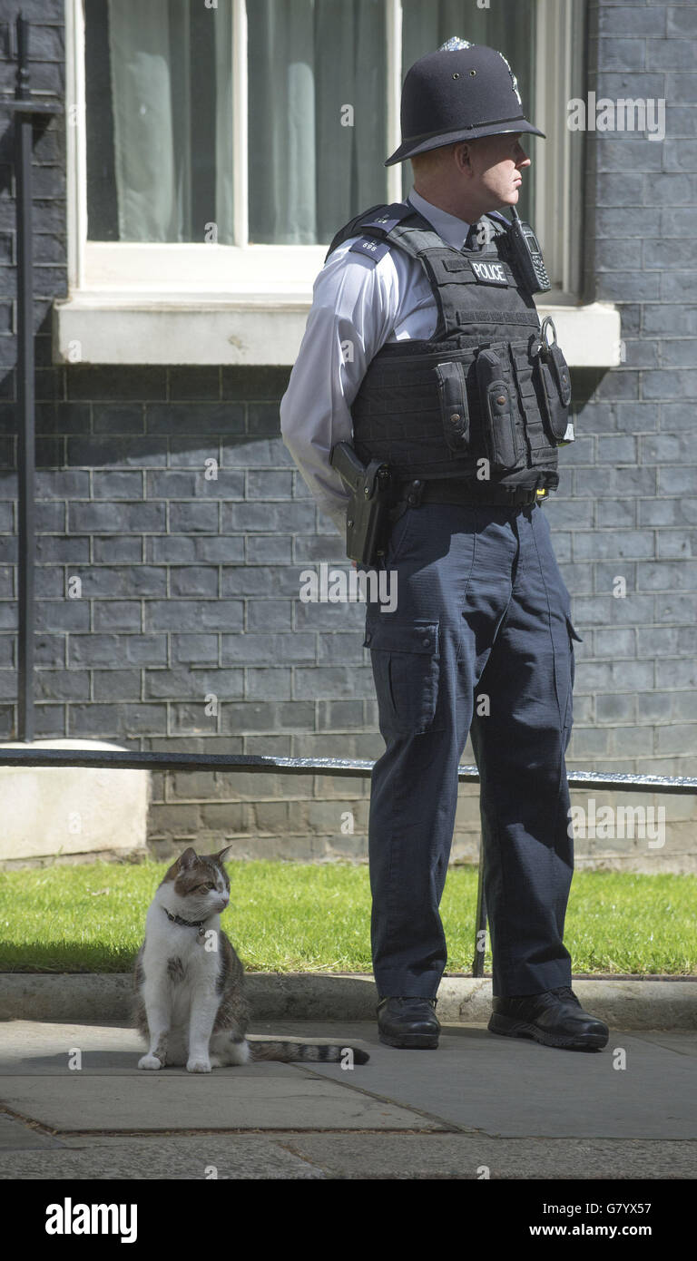 Larry il gatto siede accanto ad un ufficiale di polizia fuori 10 Downing Street, Londra, mentre la Gran Bretagna va alle urne oggi nelle elezioni generali più incerte per decenni, senza alcun partito sulla strada per emergere un chiaro vincitore. Foto Stock