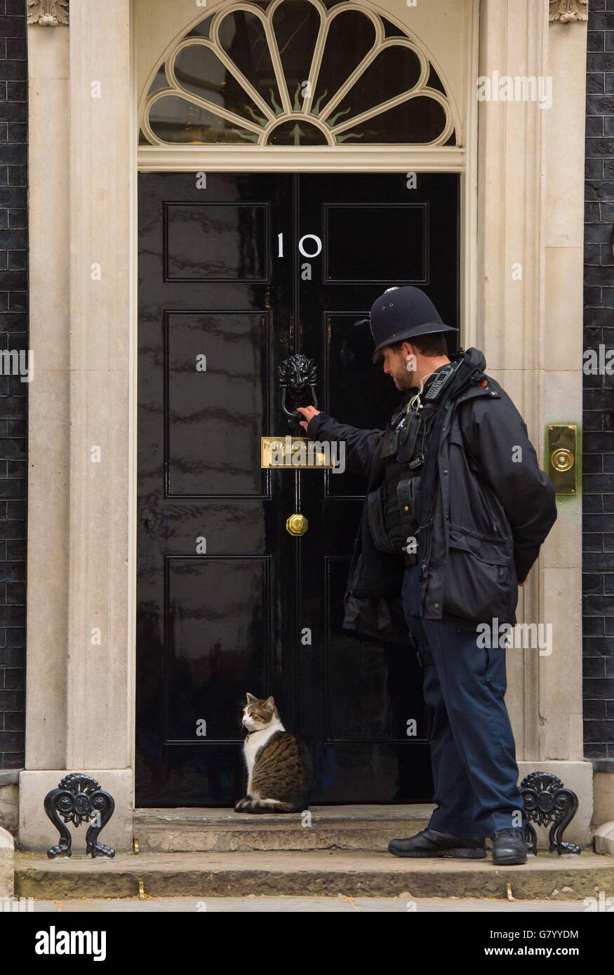 Larry, il gatto di Downing Street, attende a due passi mentre un poliziotto bussa alla porta di 10 Downing Street, a Westminster, Londra, dopo la vittoria elettorale del primo ministro David Cameron. Foto Stock