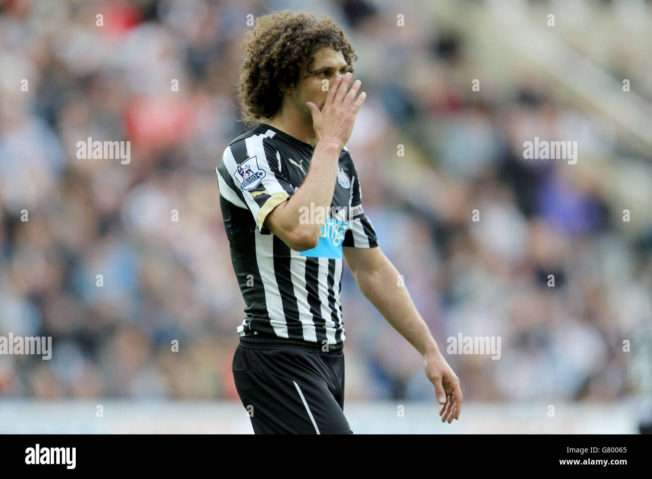 Calcio - Barclays Premier League - Newcastle United / West Bromwich Albion - St James' Park. Fabricio Cococcini del Newcastle United durante la partita della Barclays Premier League al St James' Park, Newcastle. Foto Stock