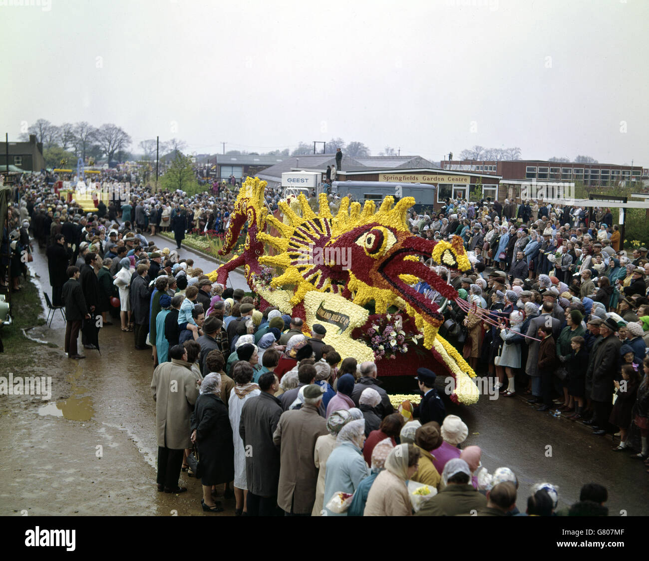 Un drago floreale partecipa a una lunga processione di carri galleggianti per la sfilata dei fiori di Spalding, Foto Stock
