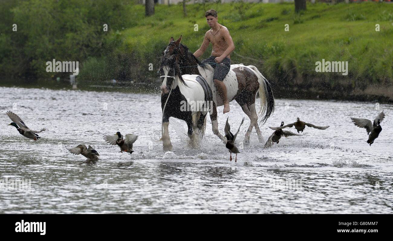 Appleby Horse Fair 2015 Foto Stock