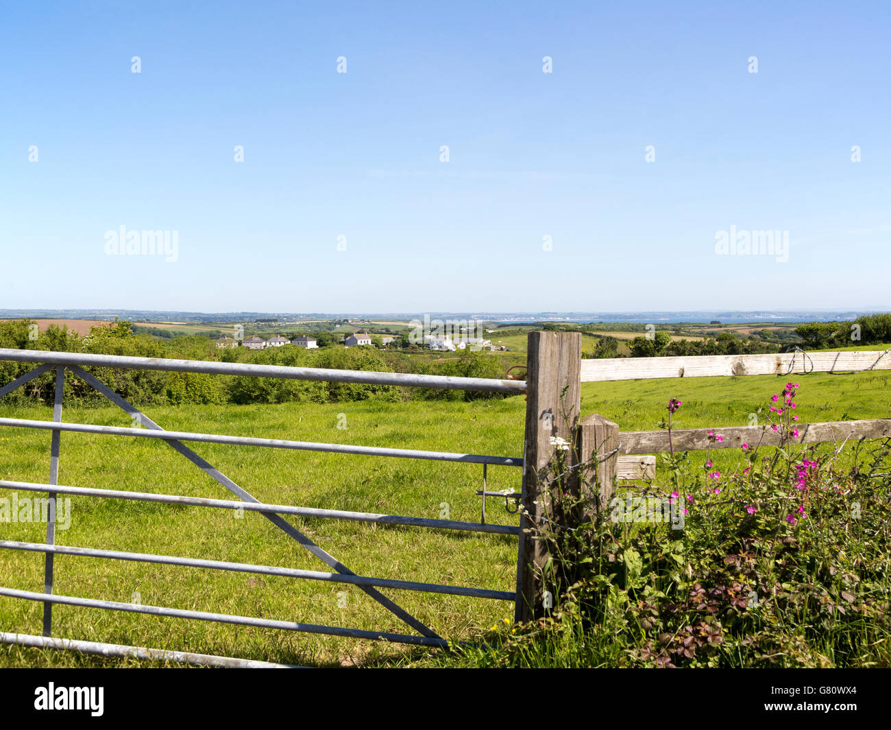 Paesaggio paesaggio estivo vicino a St Keverne, penisola di Lizard, Cornwall, Regno Unito Foto Stock