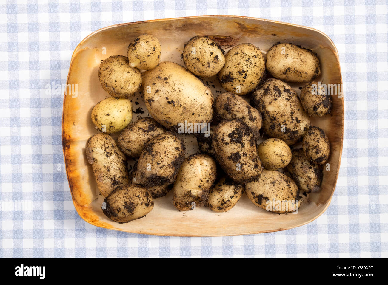 Organici di giardino inglese per le patate di primizia Foto Stock