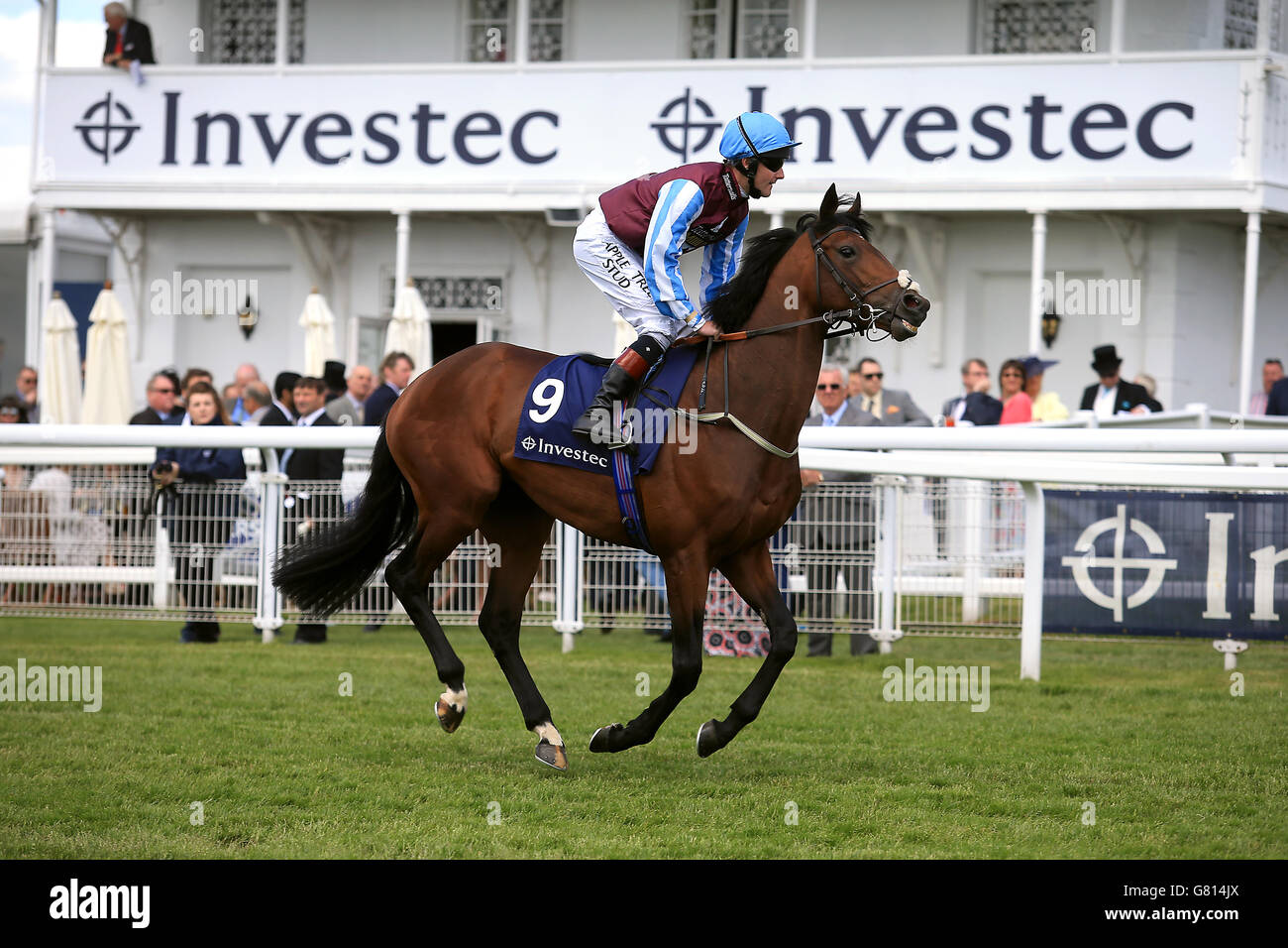 Corse ippiche - 2015 Investec Derby Festival - Derby Day - Epsom Racecourse. Jockey Tom Queally va a postare su Taper Tantrum per la handicap Investec Private Banking Foto Stock