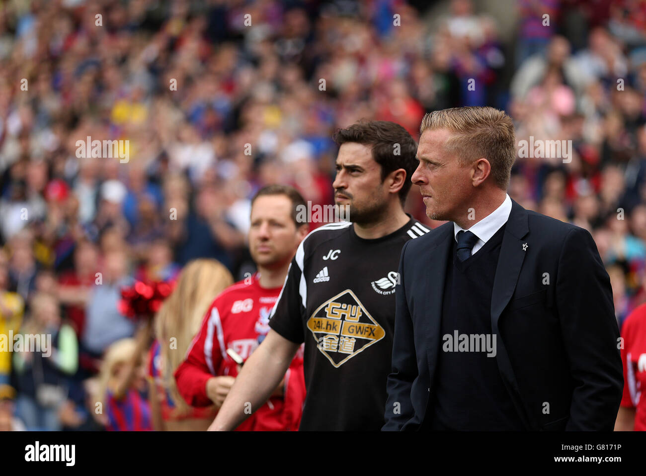 Calcio - Barclays Premier League - Crystal Palace v Swansea City - Selhurst Park Foto Stock