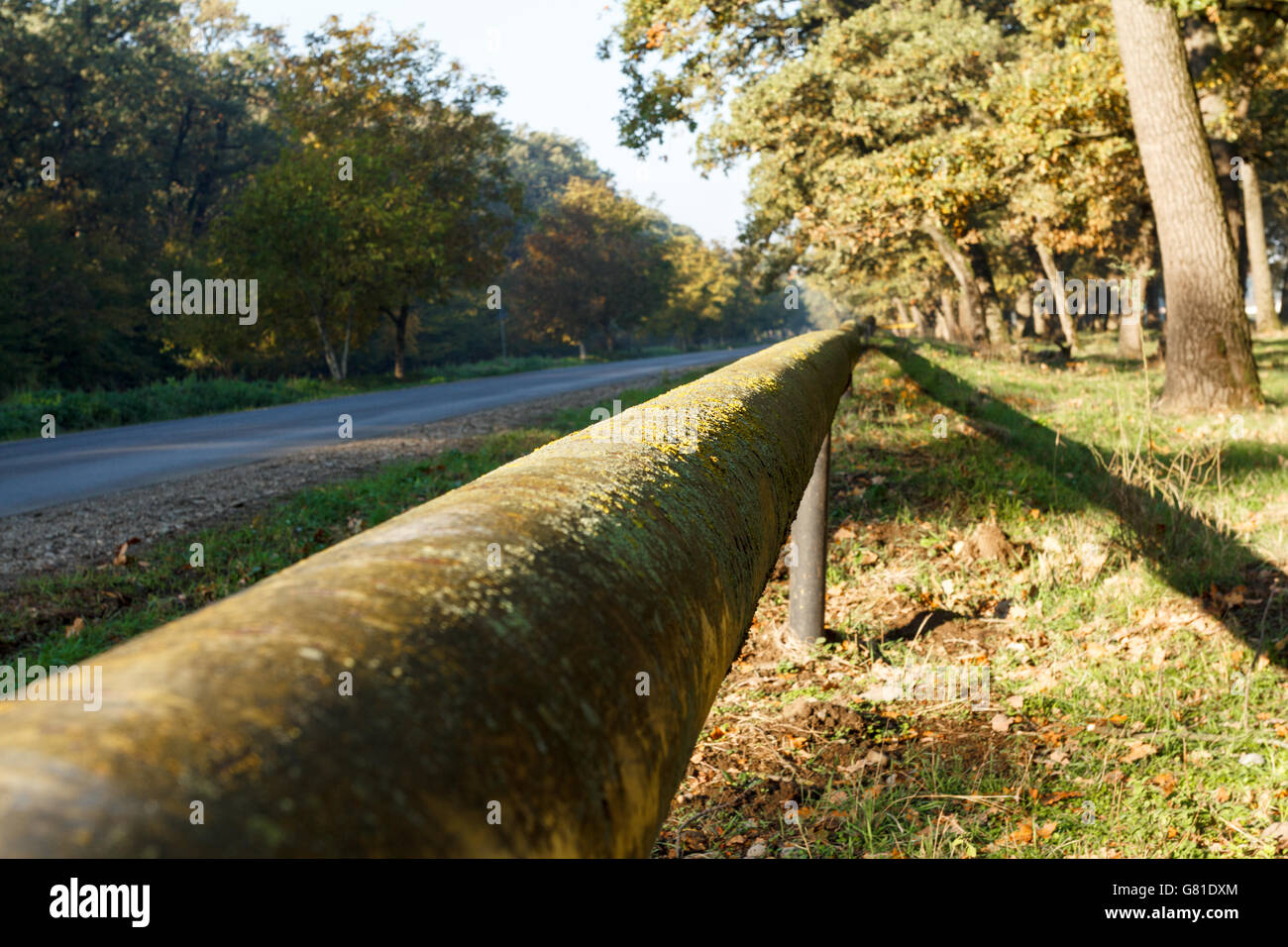 Recinzione rurale nel mezzo della natura, caduta Foto Stock