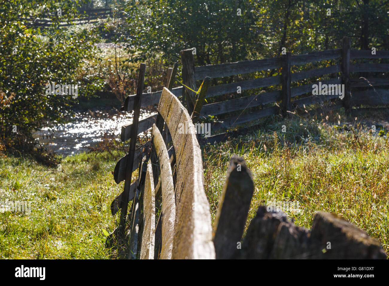 Recinzione rurale nel mezzo della natura, caduta Foto Stock