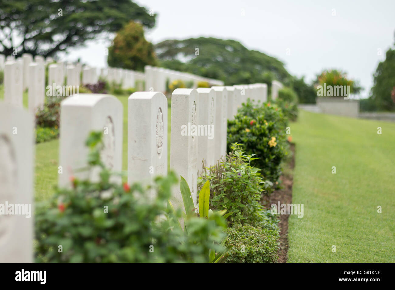Righe di lapidi nel Commonwealth War grave in corrispondenza al Kranji, Singapore. Foto Stock