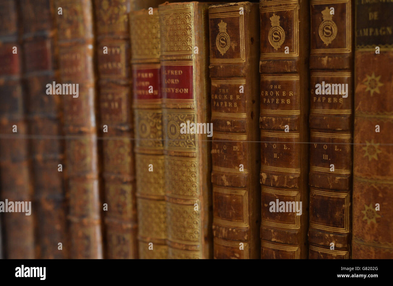 Libri su una libreria presso Althorp House, nel Northamptonshire. L'Althorp Literary Festival si svolge ogni anno presso la Althorp House, sede della famiglia Spencer. Foto Stock
