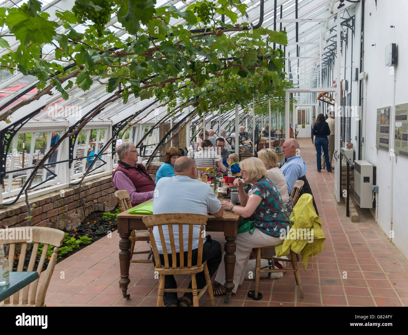 Caffetteria in un vittoriano ristrutturato azienda vitivinicola in Helmsley, North Yorkshire. Foto Stock