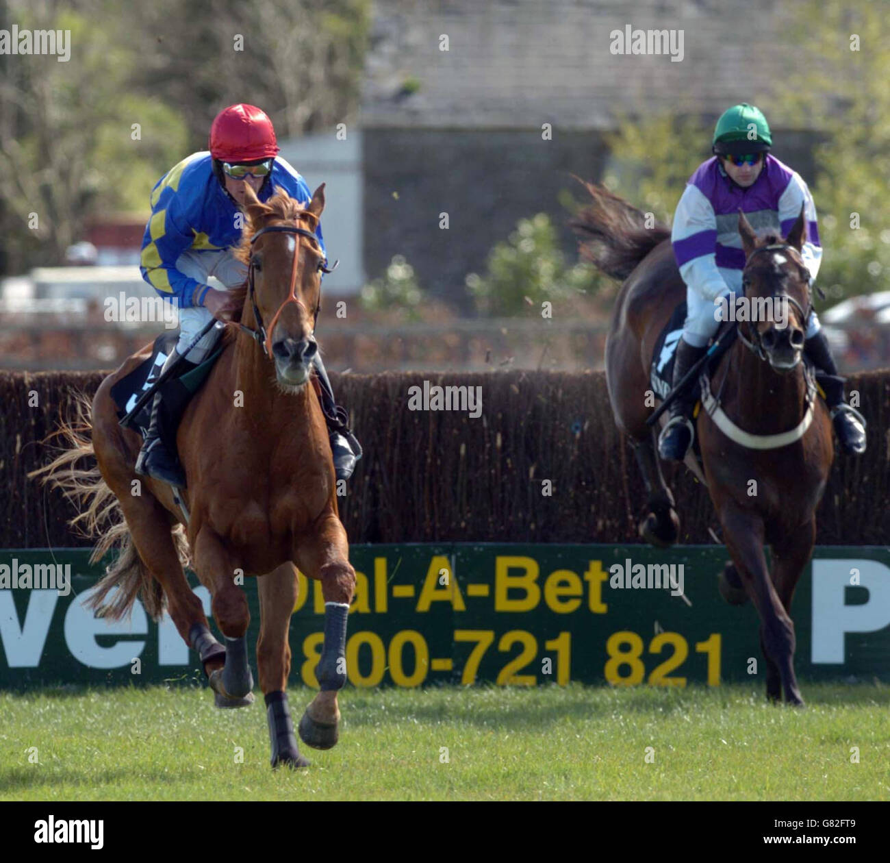 Horse Racing - Nazionale Irlandese Festival suoneria - Punchestown Racecourse Foto Stock