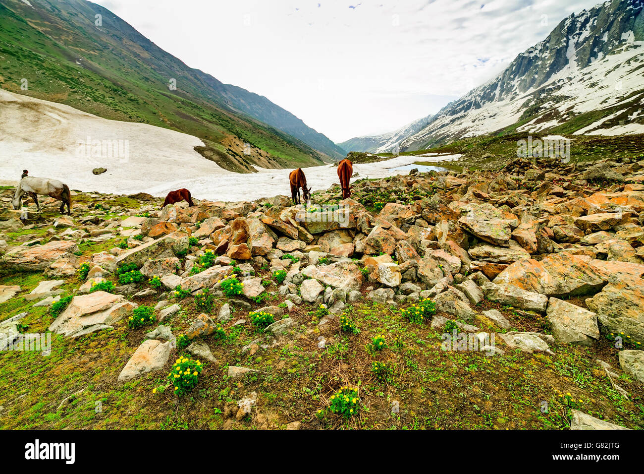 Bella vista della montagna con la neve di Sonamarg, dello stato del Jammu e Kashmir, India Foto Stock