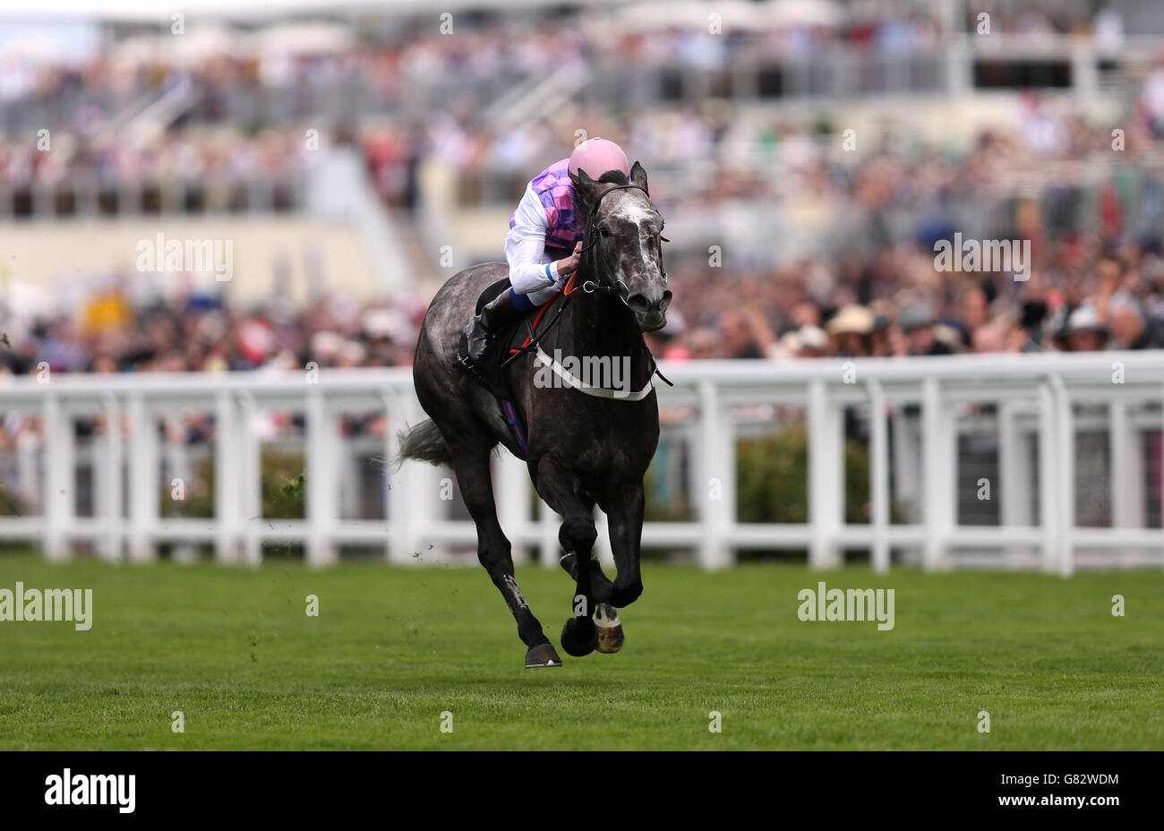 Amazing Maria cavalcata dal jockey James Doyle vince il Duke of Cambridge Stakes (Formerly Windsor Forest Stakes) il secondo giorno del Royal Ascot Meeting 2015 all'ippodromo di Ascot, nel Berkshire. Foto Stock