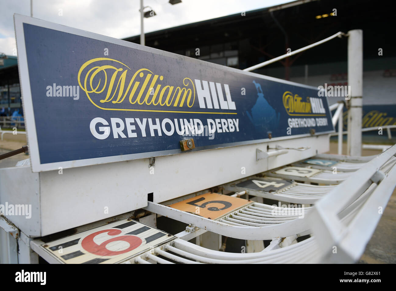 Greyhound Racing - William Hill Derby - quarti di finale - Stadio di Wimbledon. Segnaletica di William Hill vista sulle trappole dei levrieri durante le finali del quartiere William Hill Derby Foto Stock