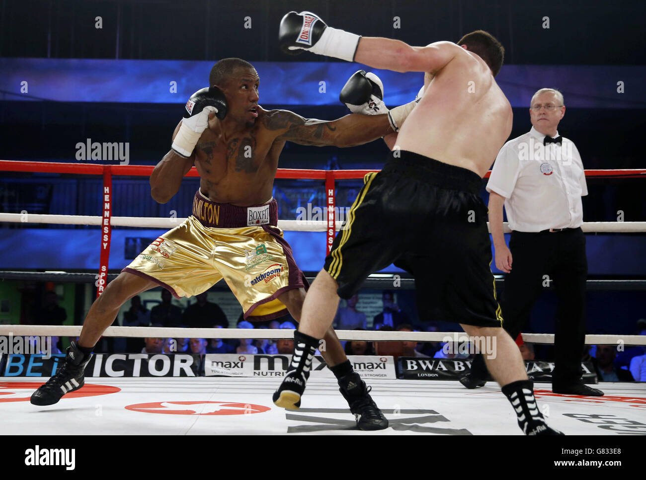 Pugilato - Lee Haskins / Ryosuke Iwasa - Action Sports Arena. Darren Hamilton (a sinistra) e Mikheil Avakyan in azione durante il Super Lightweight Bout all'Action Sports Arena di Bristol. Foto Stock