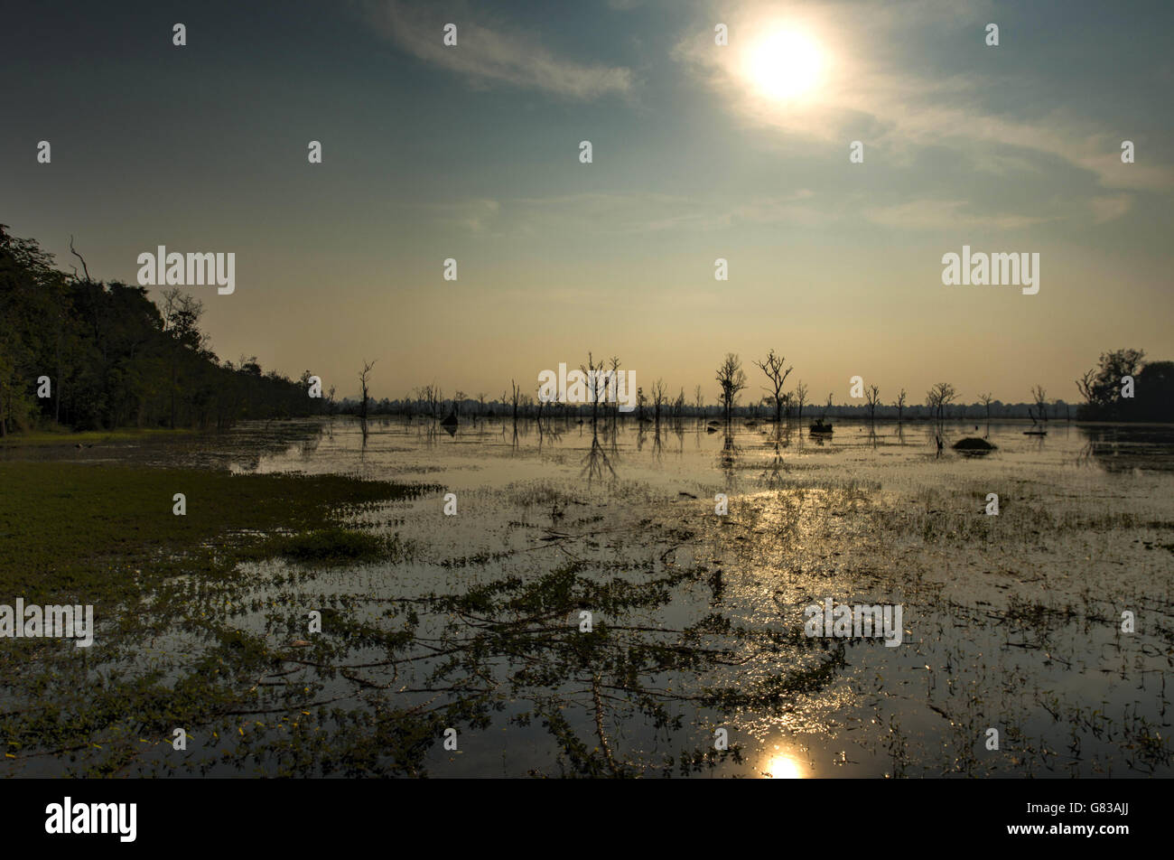 La Neak Pean, tempio di Angkor Wat Siem Reap, Cambogia Induismo la cultura Khmer edifici Foto Stock