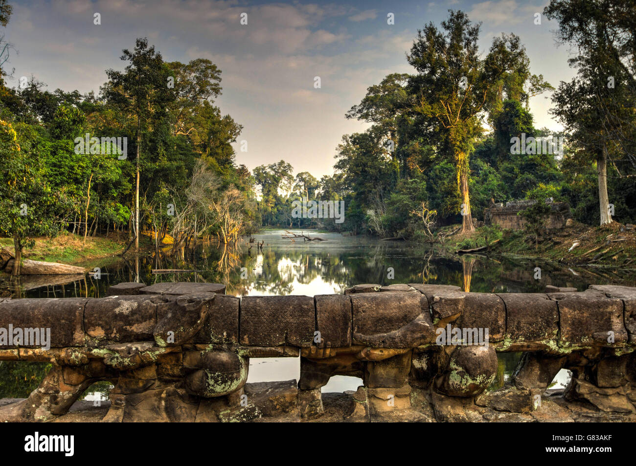 Misteriose rovine di antiche Preah Khan tempio di Angkor, Siem Reap, Cambogia. Foto Stock