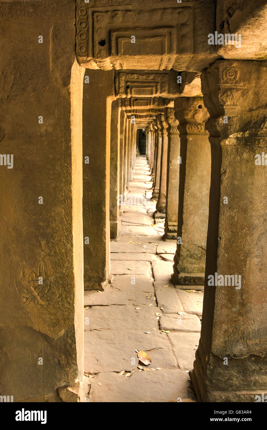 Angor Ta Prohm Khmer antico tempio buddista nella giungla foresta. Famoso punto di riferimento, luogo di culto e popolare di viaggio turistico dest Foto Stock