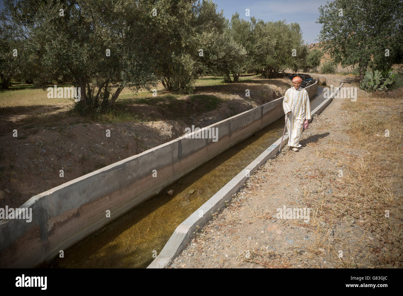 Il canale di irrigazione in Chichaoua Prov. ha portato a un aumento della produttività per gli agricoltori in questa area a secco del Marocco. Foto Stock